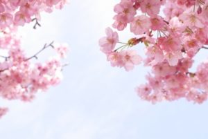 大学　入学　引越し